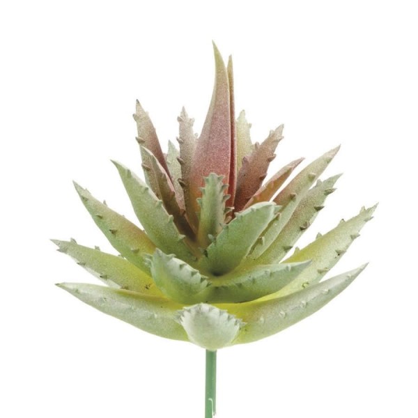 Succulente artificielle- Aloe 7cm