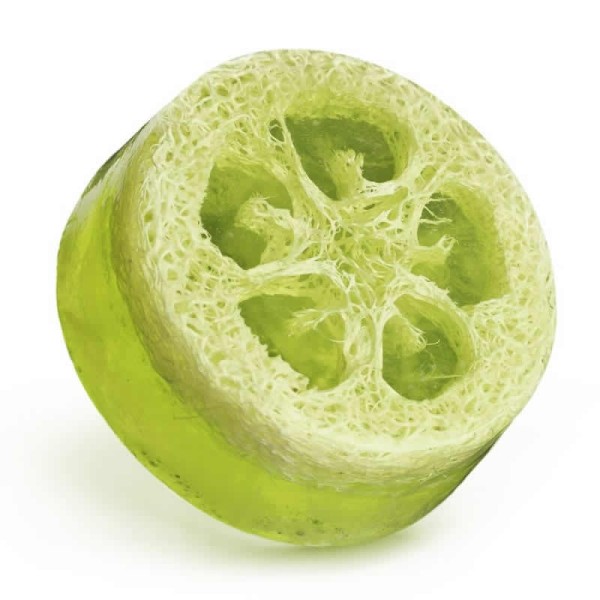Luffa-Slices, green, 3 pcs