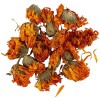 Trockenblumen - Ringelblumen (Calendula) ø 1-1.5cm