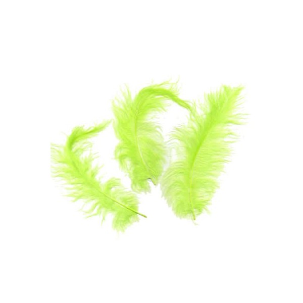 Light green Feathers, 5g