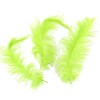 Plumes vert clair, 5g