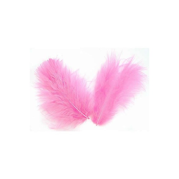 Light pink Feathers, 5g