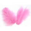 Light pink Feathers, 5g