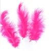 Pink Feathers, 5g