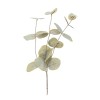 Branche d'eucalyptus 37cm