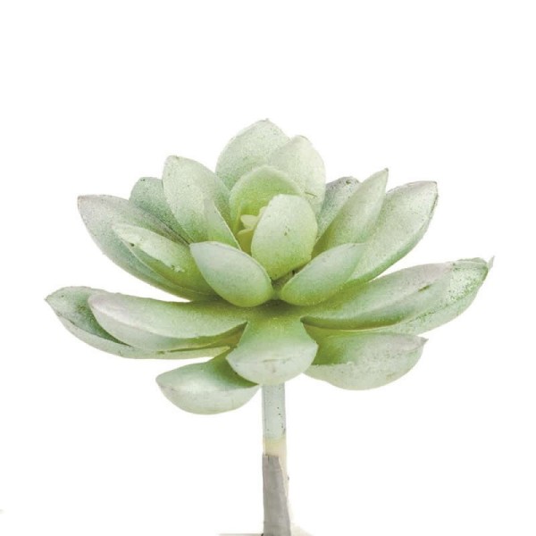 Succulente artificielle- Echeveria 7cm