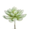 Succulente artificielle- Echeveria 7cm