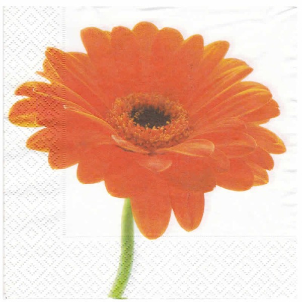 Serviette Gerbera, 1 Stk