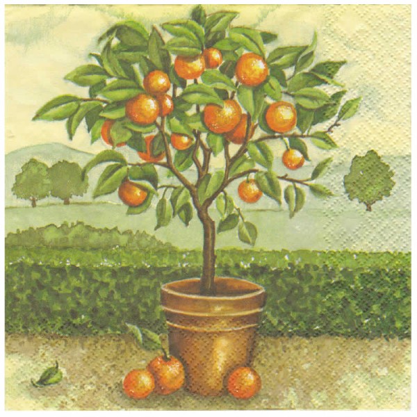 Napkin orange tree, 1 piece