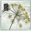 Serviettes Fleur, 1 paquet/20 pcs