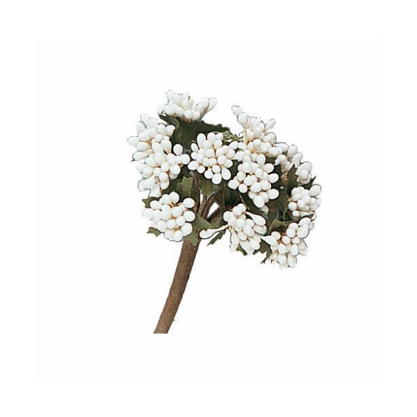 Bouquet de baies, blanc
