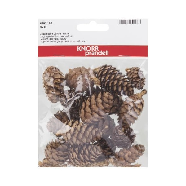 Japanese larch cones, natural, 50g