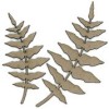 Fern fronds, 2 pcs,4.5-6x9-11.5cm