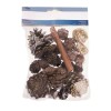 Pot-pourri Wintex Mix gold