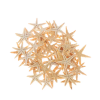 Sea stars, medium size