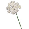 12 Bouquets de 12 mini roses, blanc 1.5cm