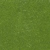 Embossing Powder, 10g, olive green