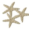 Estrellas de mar, fieltro beige