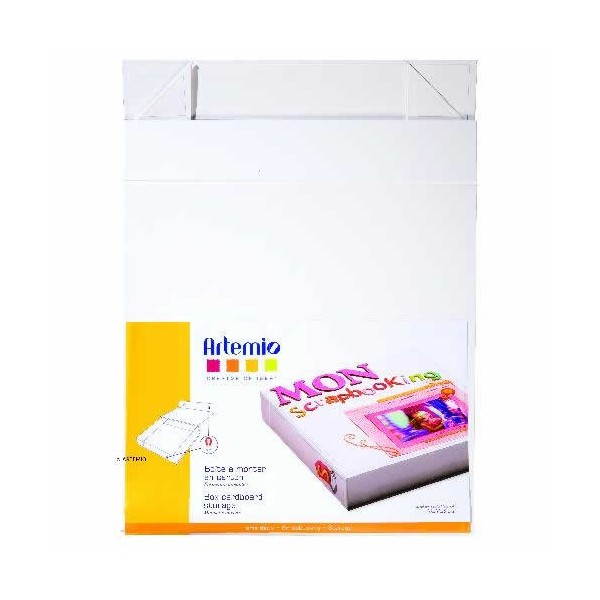 Caja de carton blanco 32x32x6cm