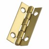 Deco hinges, brassed, 30x15mm