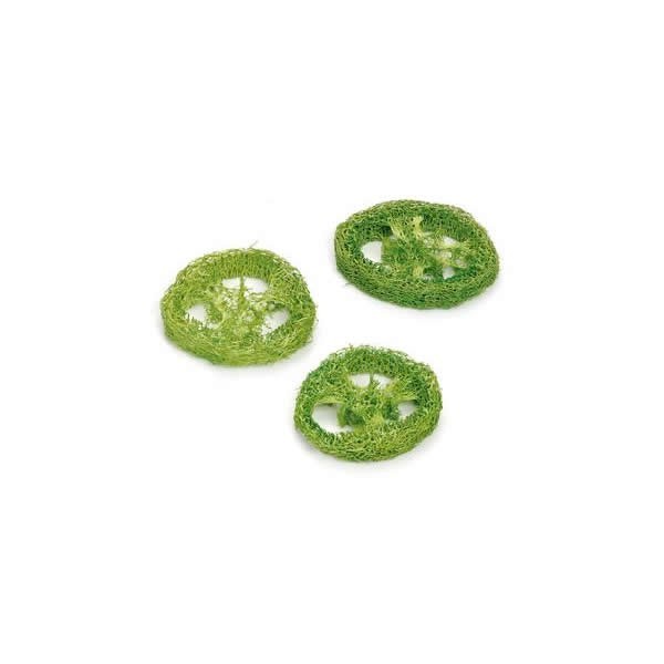 Luffa-Slices, green, 3 pcs