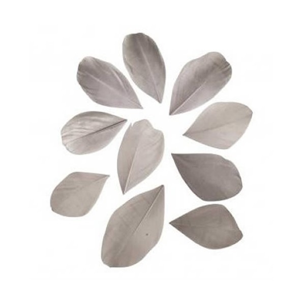 Feathers cutted, 5-6cm, light grey, 36 pcs
