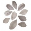 Feathers cutted, 5-6cm, light grey, 36 pcs