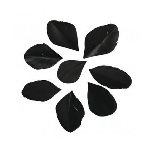 Plumes coupées, 5-6cm, noir, 36pcs