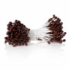 Pistils / étamines 5mm, chocolat +/- 75 têtes